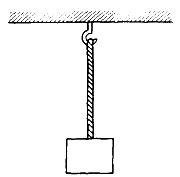 I did in the following way considering equilibrium of the leftright portion of the rope, horizontal component of tension at the end. . A uniform rope of weight 50 newtons